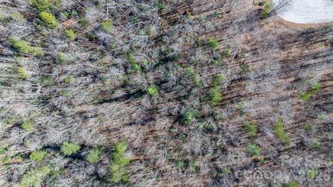 Tbd Dirksen Avenue Nebo NC 28761
