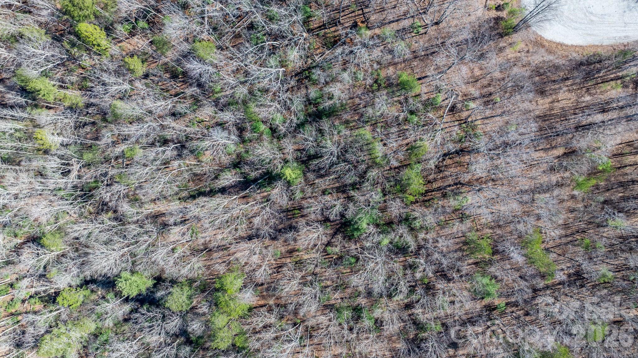 Tbd Dirksen Avenue Nebo NC 28761