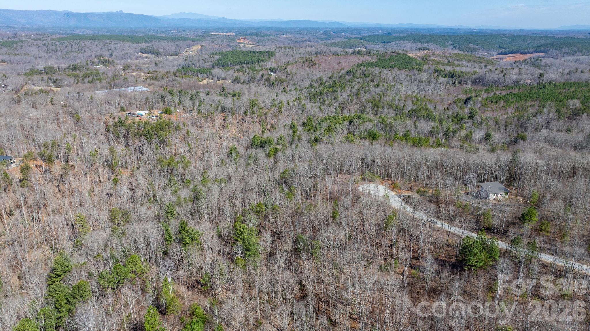 Tbd Dirksen Avenue Nebo NC 28761