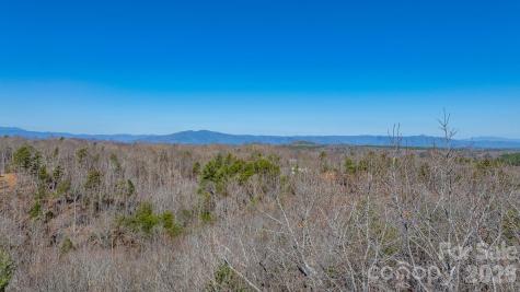 Tbd Dirksen Avenue Nebo NC 28761