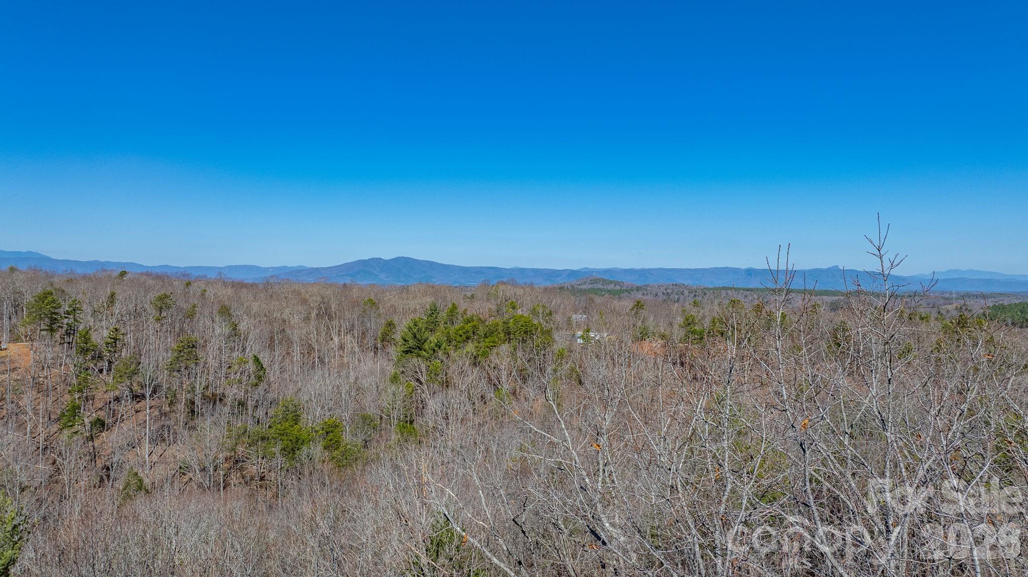 Tbd Dirksen Avenue Nebo NC 28761