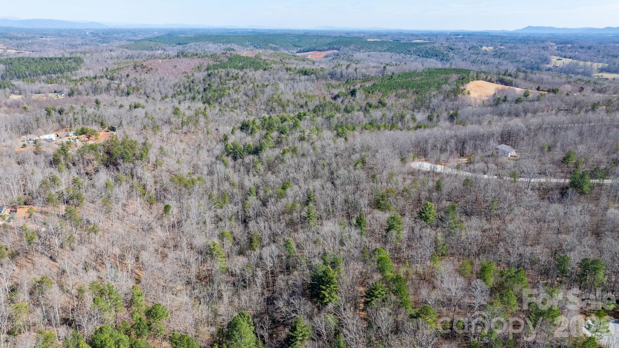 Tbd Dirksen Avenue Nebo NC 28761