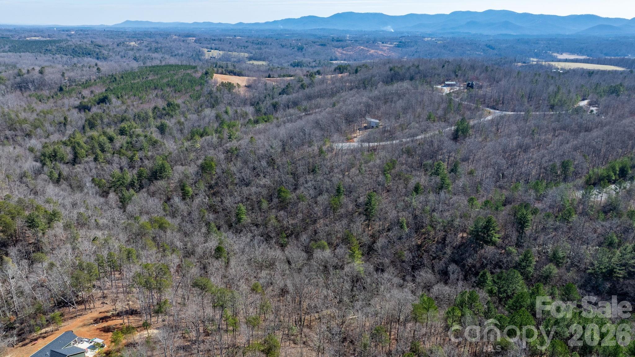 Tbd Dirksen Avenue Nebo NC 28761