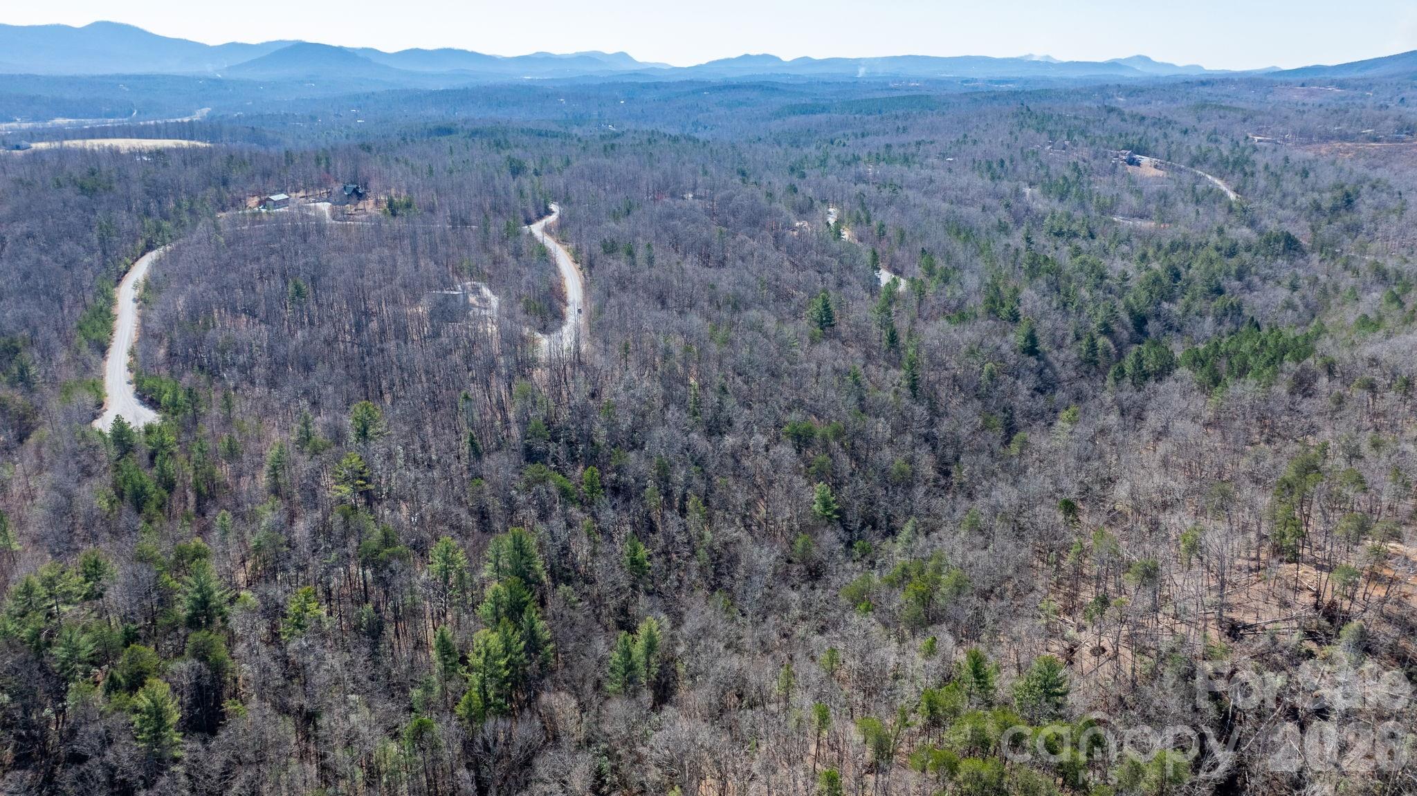 Tbd Dirksen Avenue Nebo NC 28761