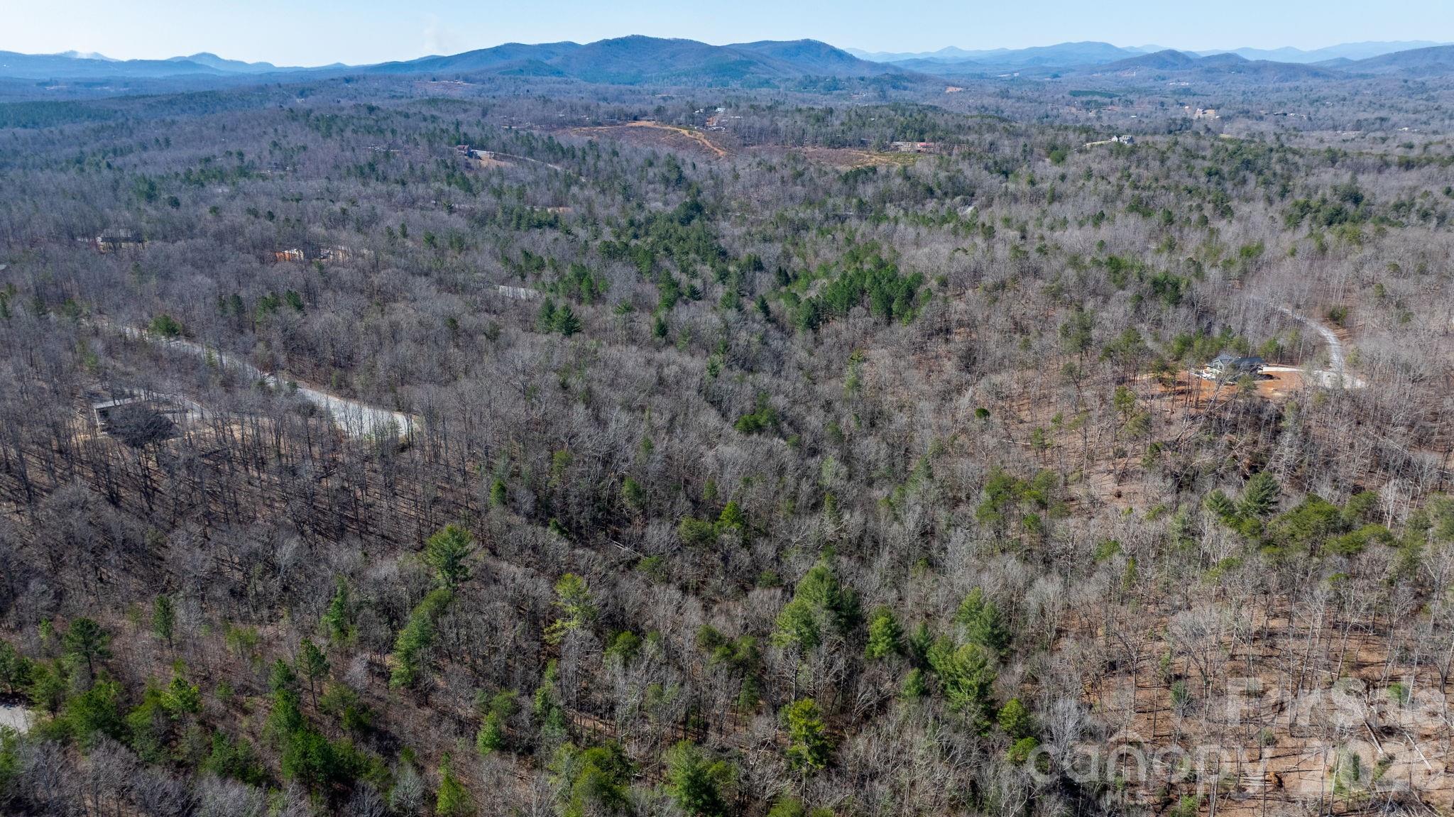 Tbd Dirksen Avenue Nebo NC 28761