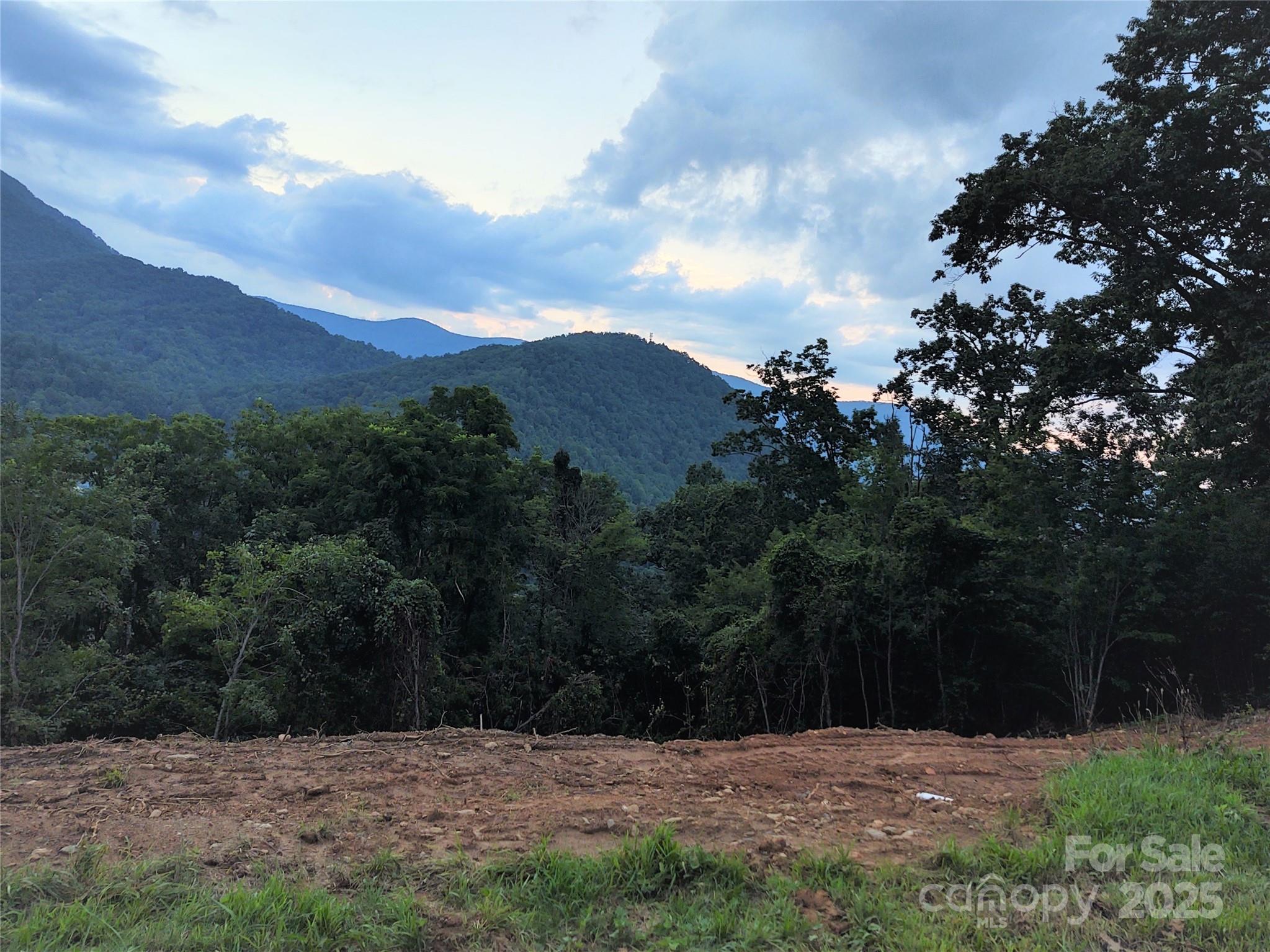 00 Tanner Trail Waynesville NC 28785