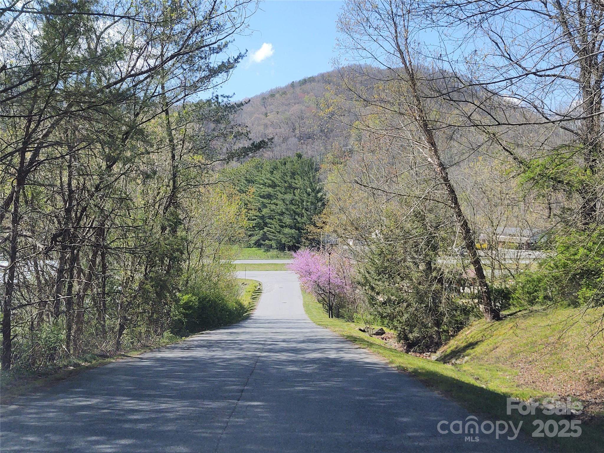 00 Tanner Trail Waynesville NC 28785
