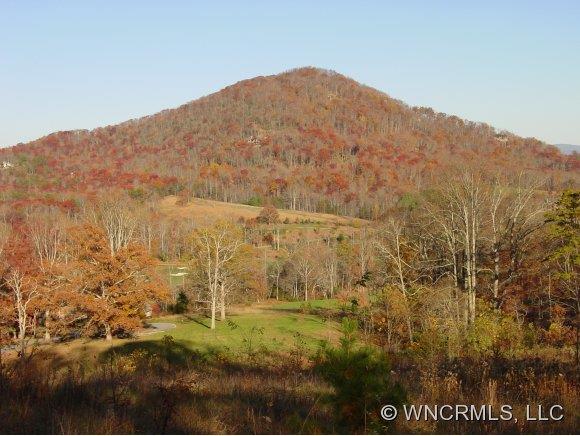 15 Smokey Ridge Trail Arden NC 28704