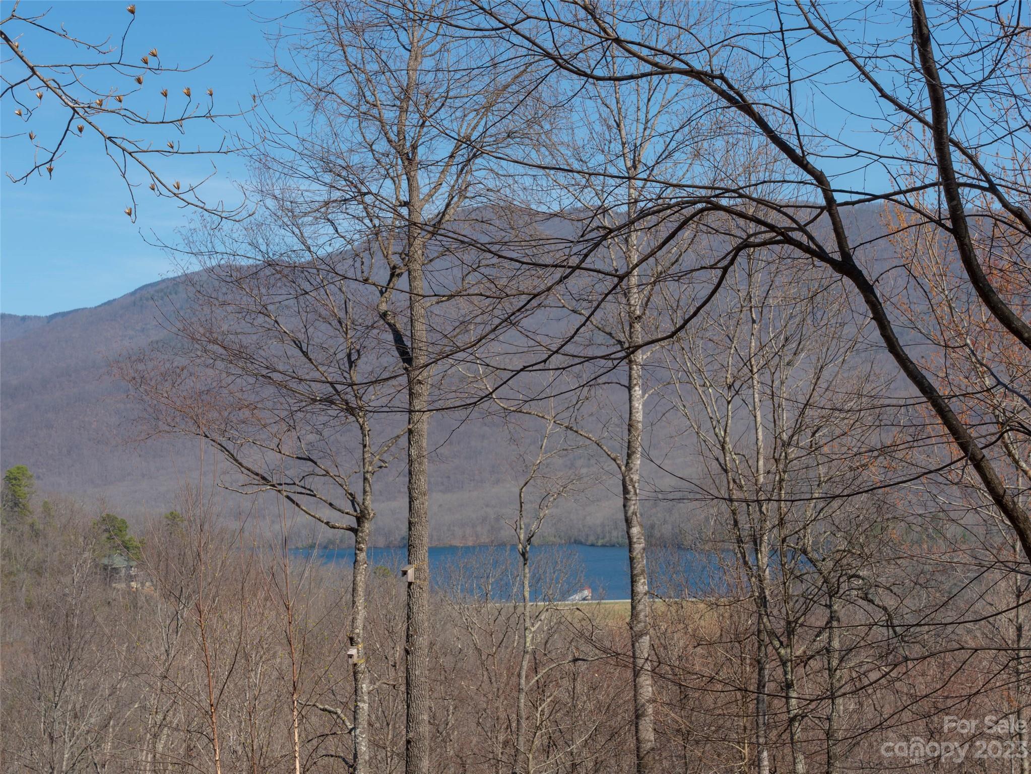26 Great Aspen Way Black Mountain NC 28711
