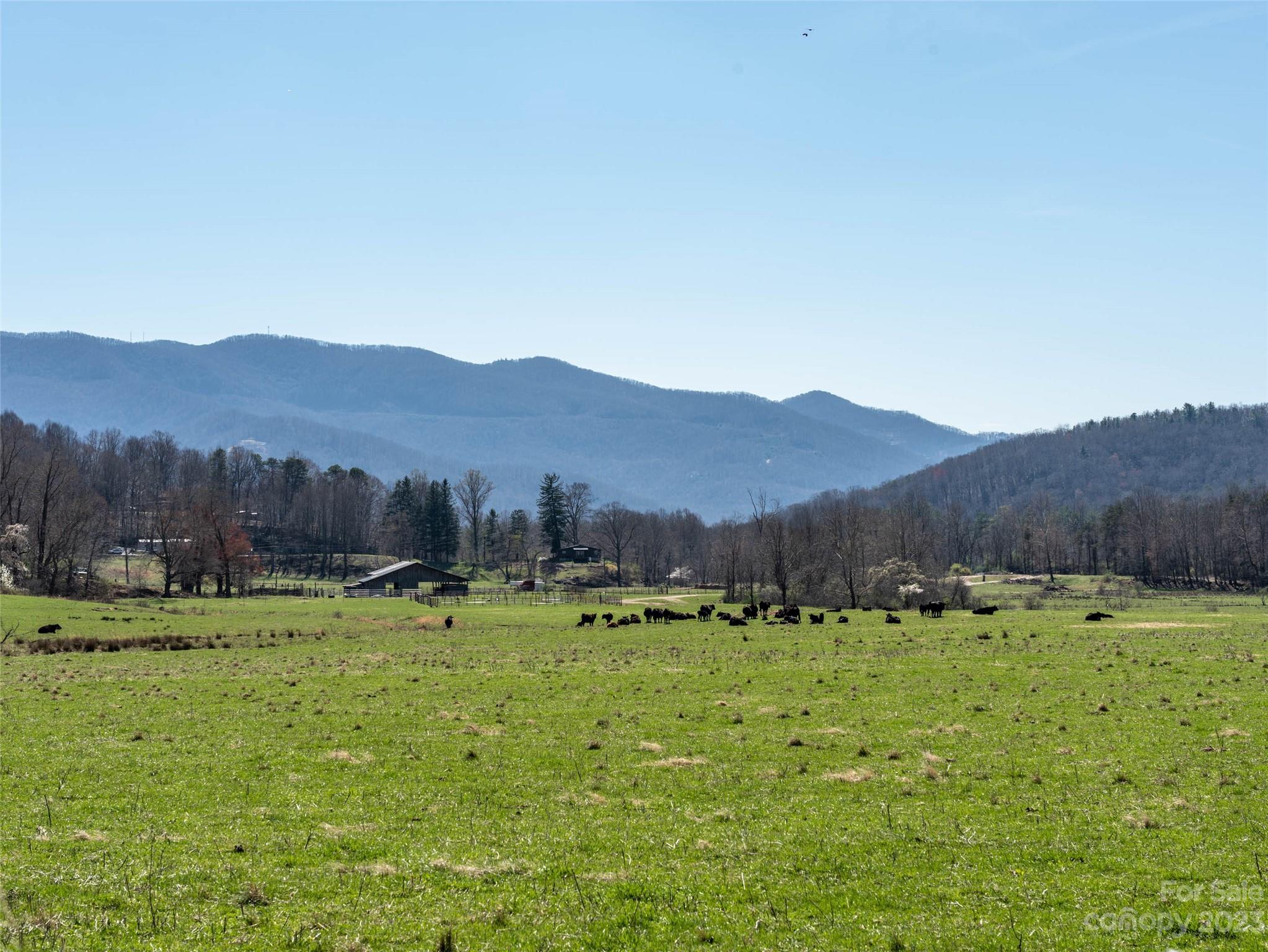 26 Great Aspen Way Black Mountain NC 28711