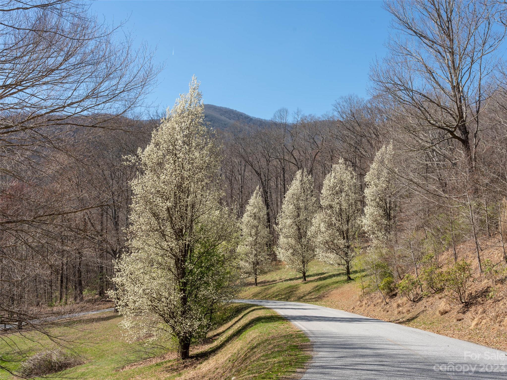 26 Great Aspen Way Black Mountain NC 28711