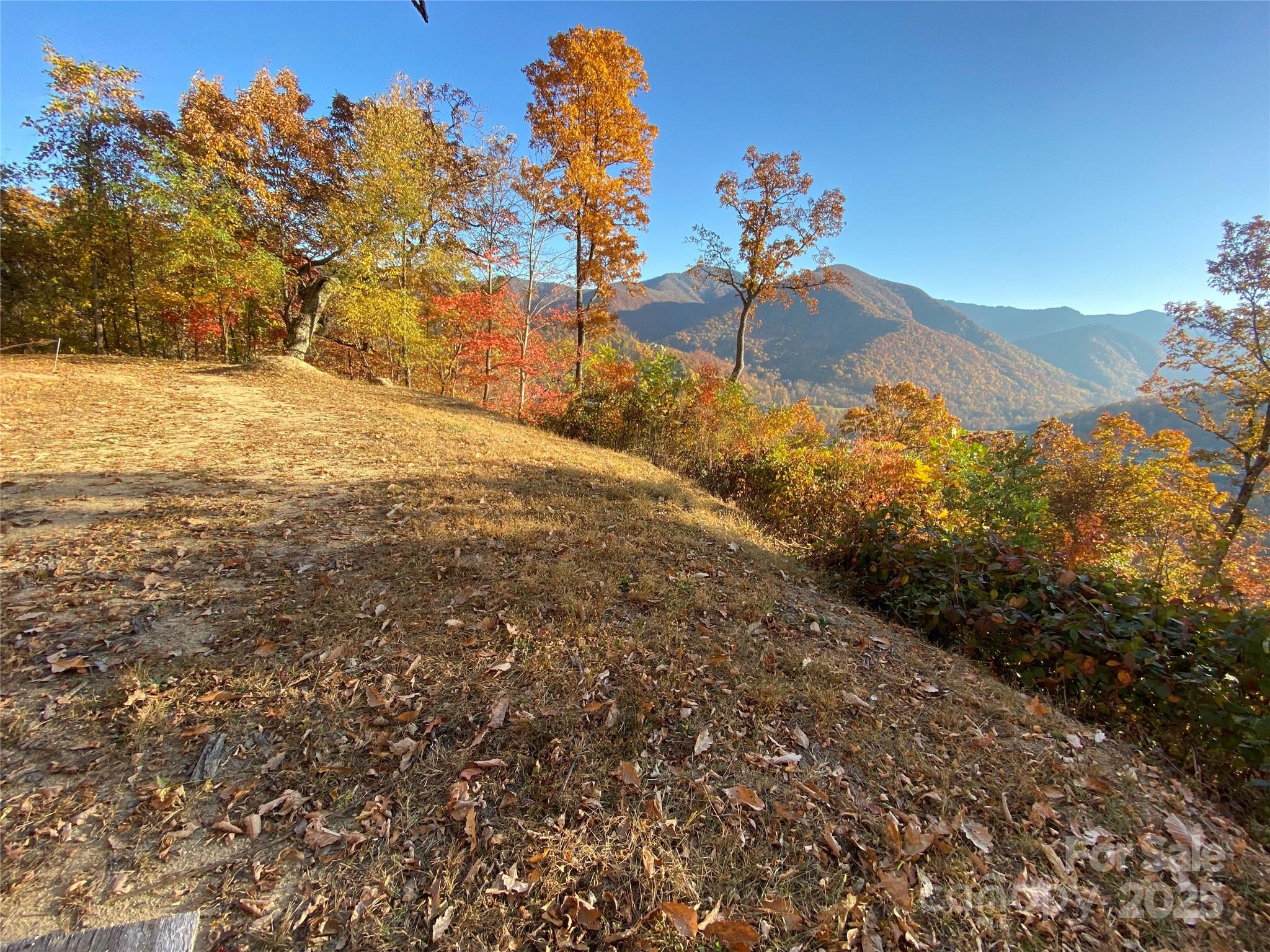 40 Cougar Lane Maggie Valley NC 28751