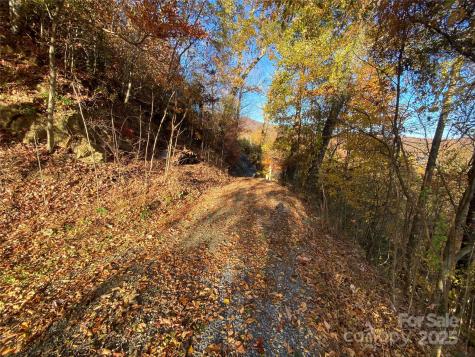 40 Cougar Lane Maggie Valley NC 28751