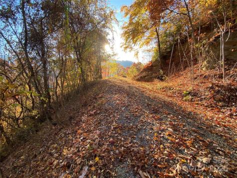 40 Cougar Lane Maggie Valley NC 28751