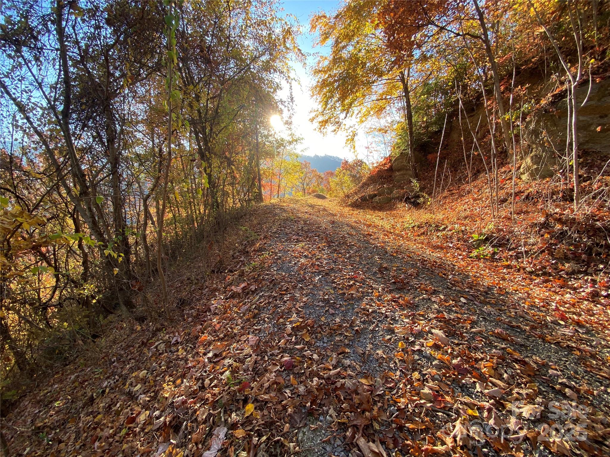 40 Cougar Lane Maggie Valley NC 28751