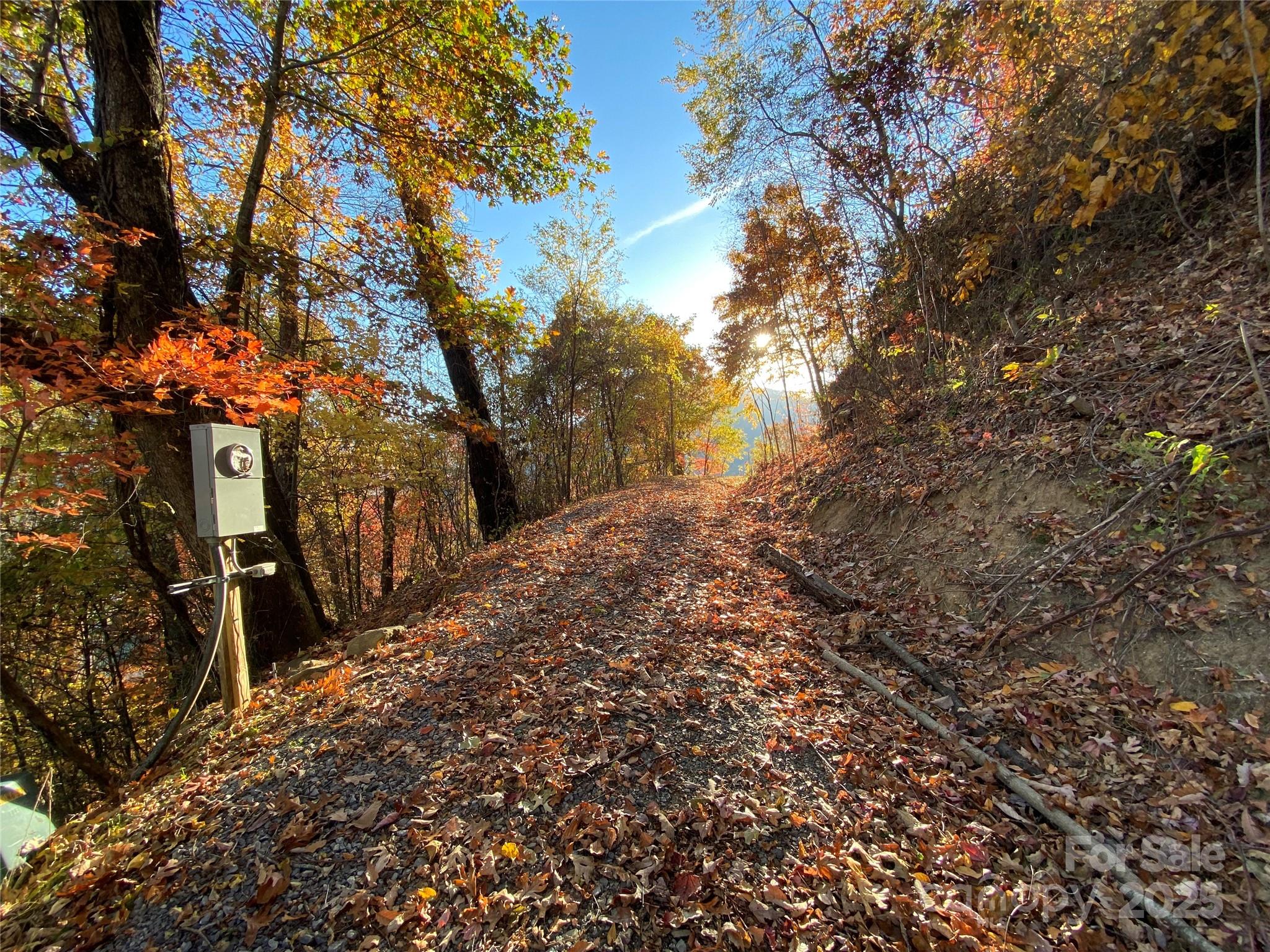 40 Cougar Lane Maggie Valley NC 28751
