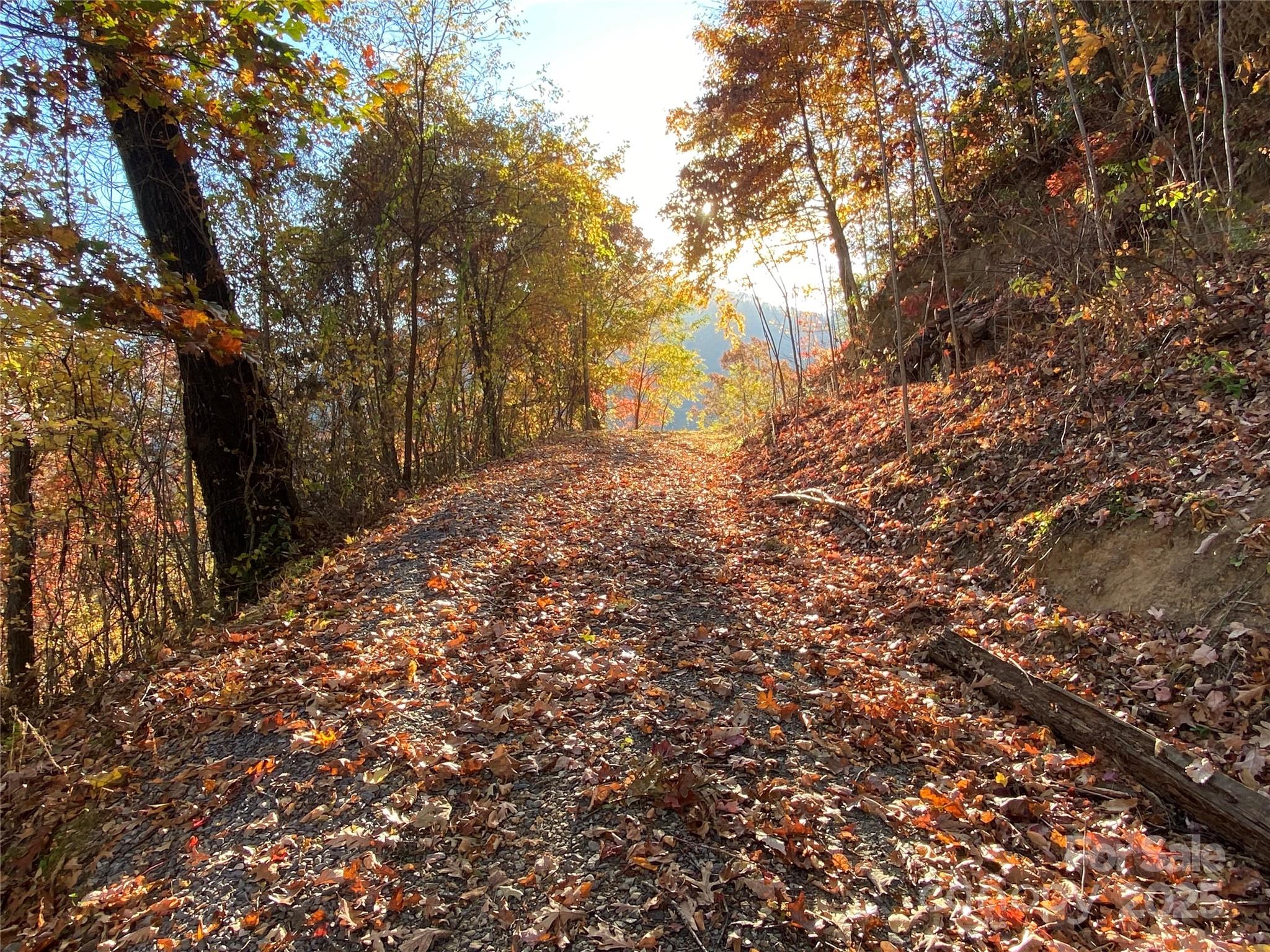 40 Cougar Lane Maggie Valley NC 28751
