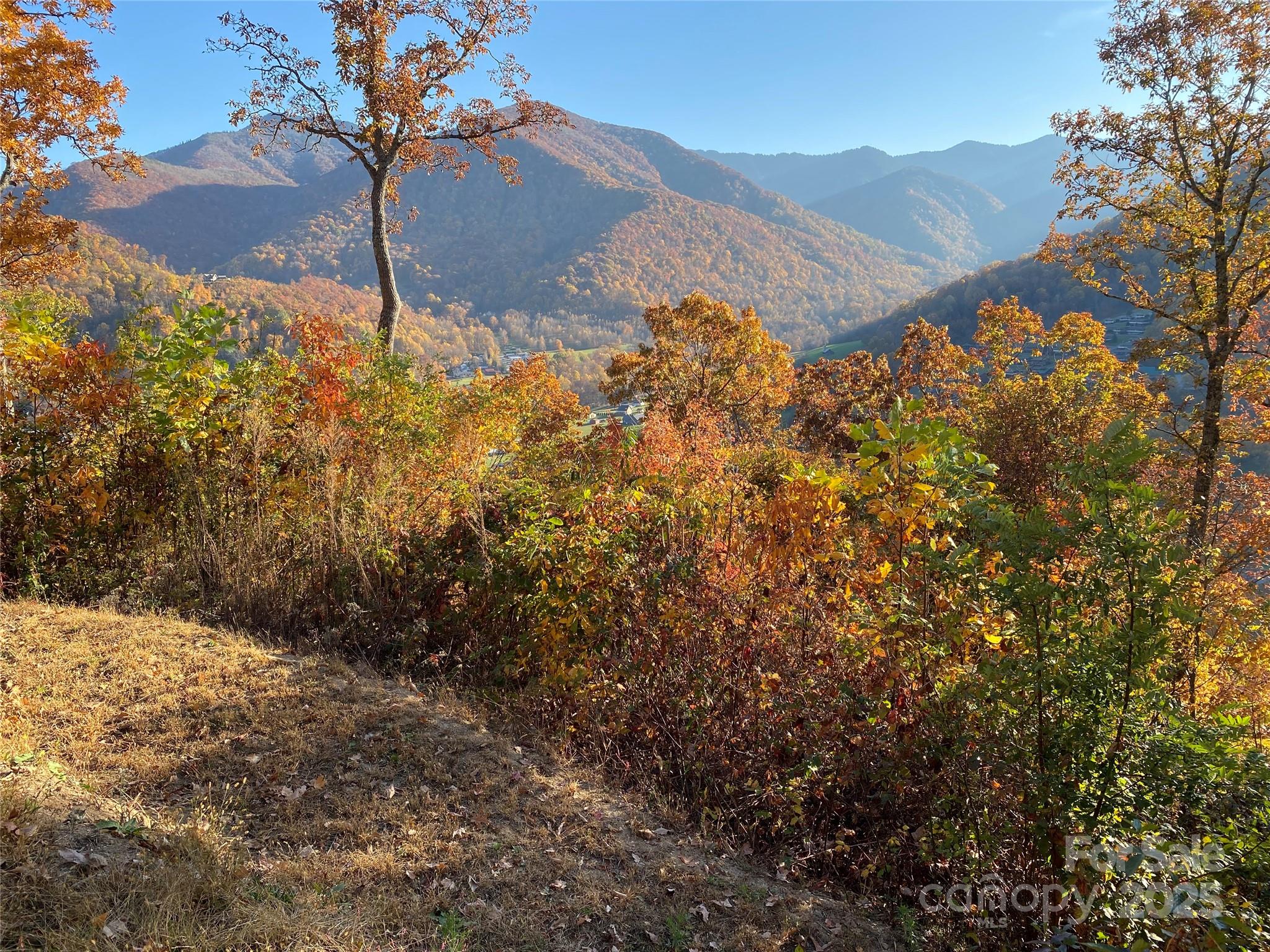 40 Cougar Lane Maggie Valley NC 28751