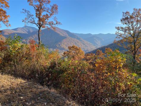 40 Cougar Lane Maggie Valley NC 28751