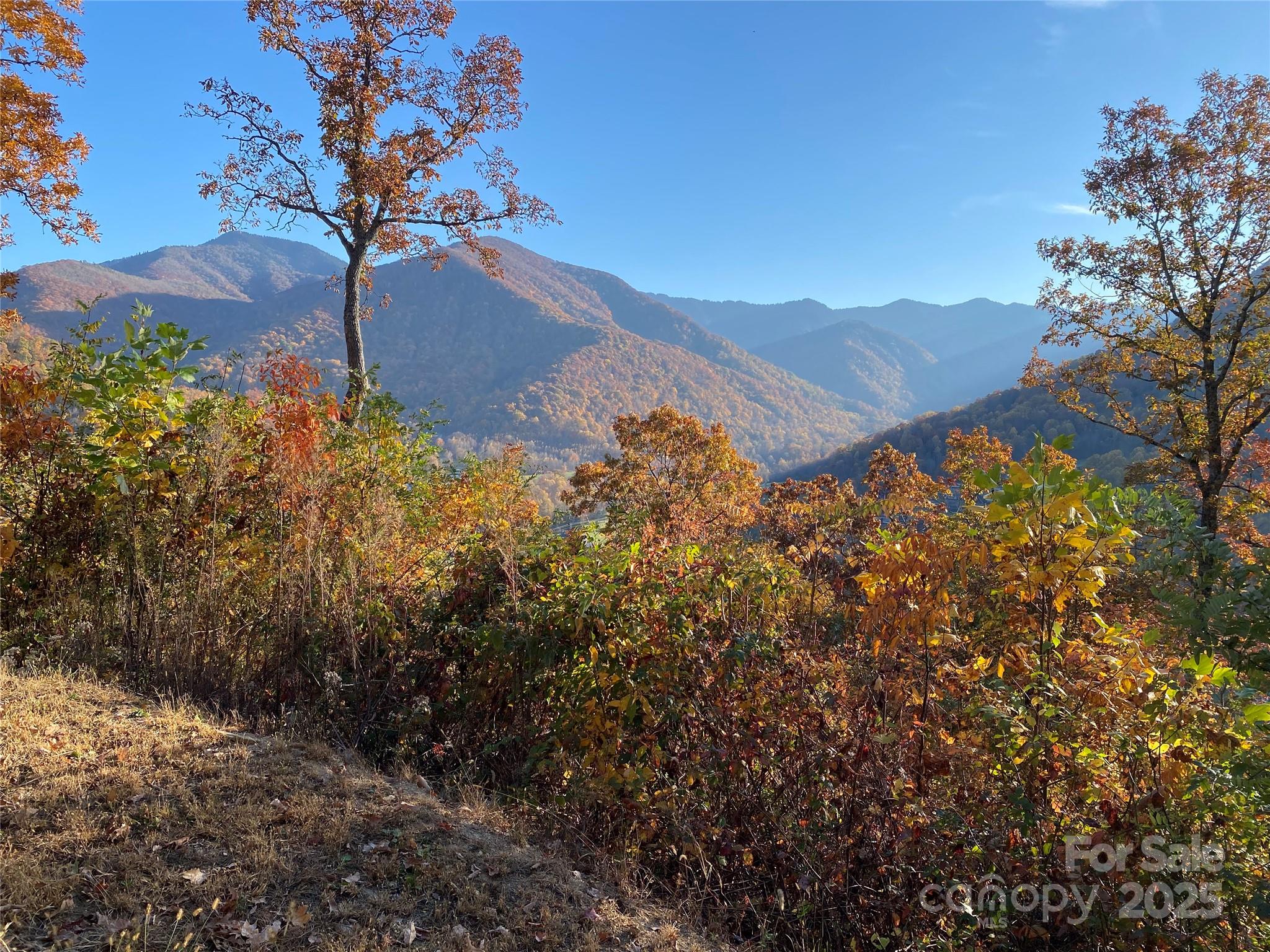 40 Cougar Lane Maggie Valley NC 28751