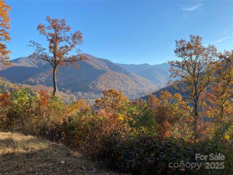 40 Cougar Lane Maggie Valley NC 28751