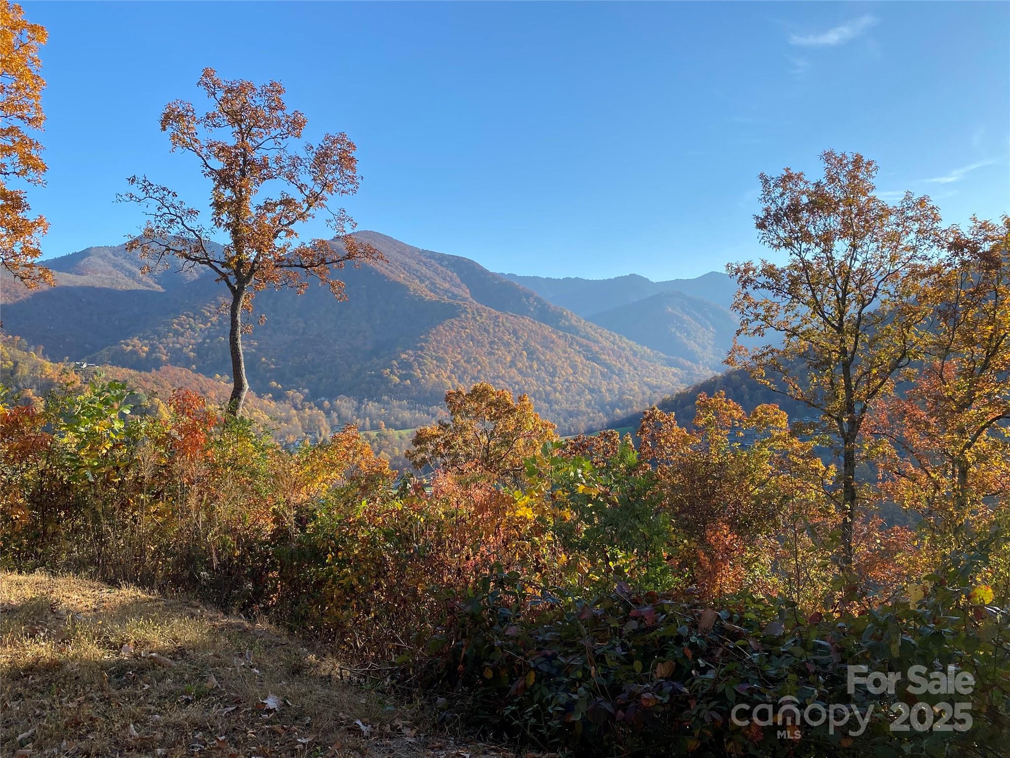 40 Cougar Lane Maggie Valley NC 28751