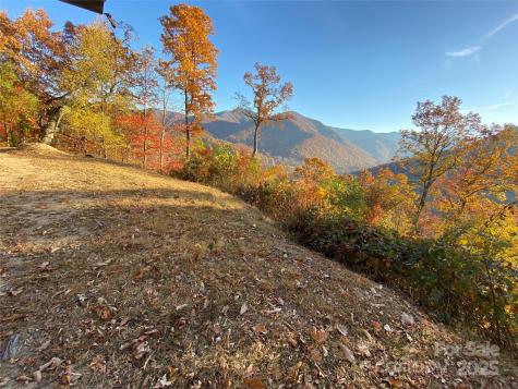 40 Cougar Lane Maggie Valley NC 28751