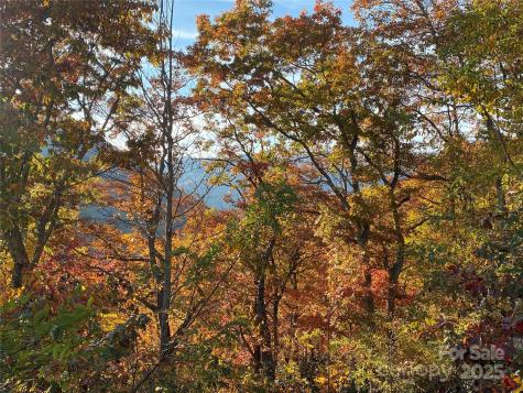 40 Cougar Lane Maggie Valley NC 28751