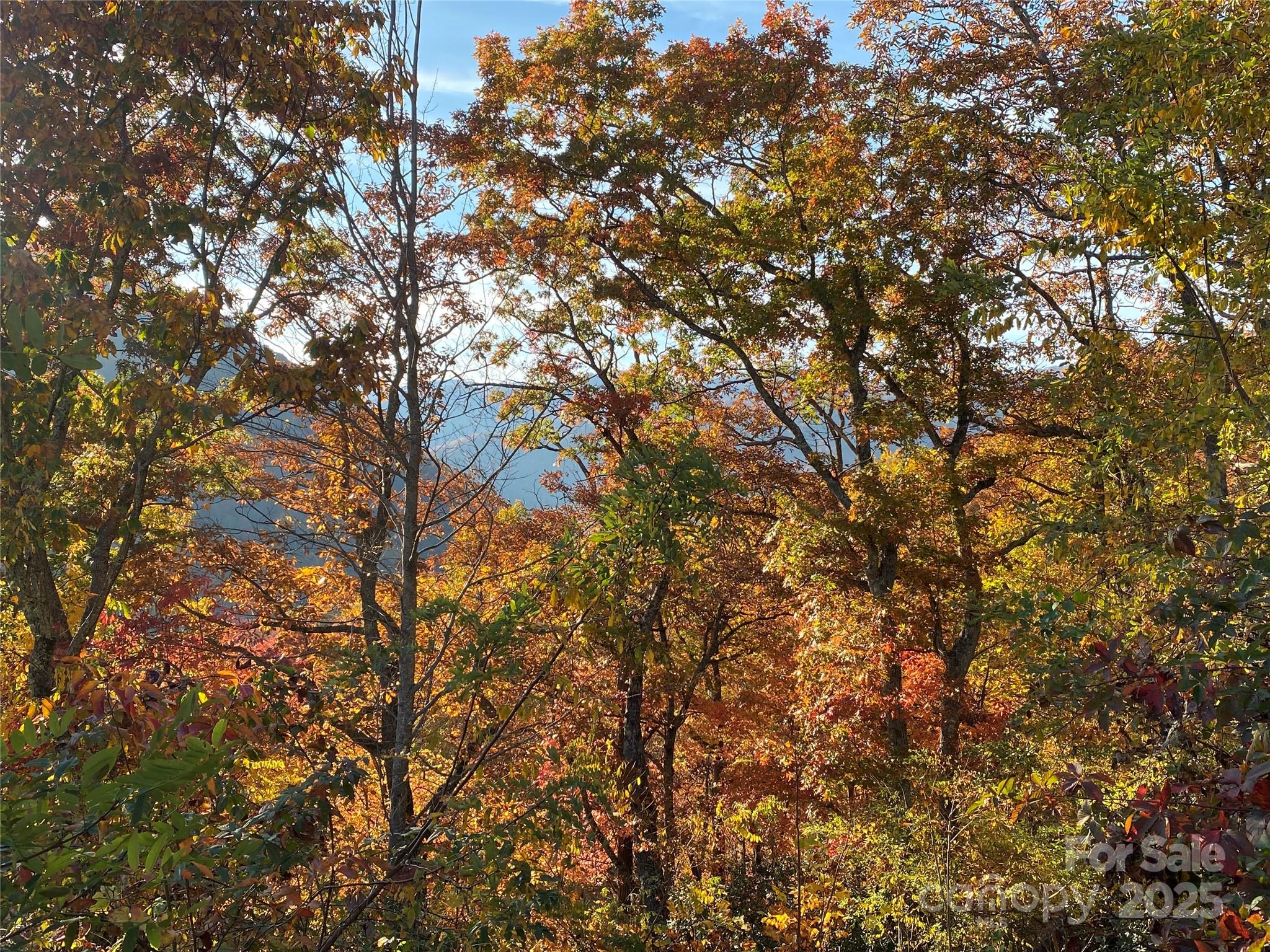 40 Cougar Lane Maggie Valley NC 28751