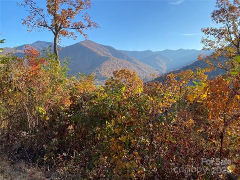 40 Cougar Lane Maggie Valley NC 28751