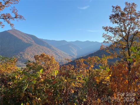 40 Cougar Lane Maggie Valley NC 28751