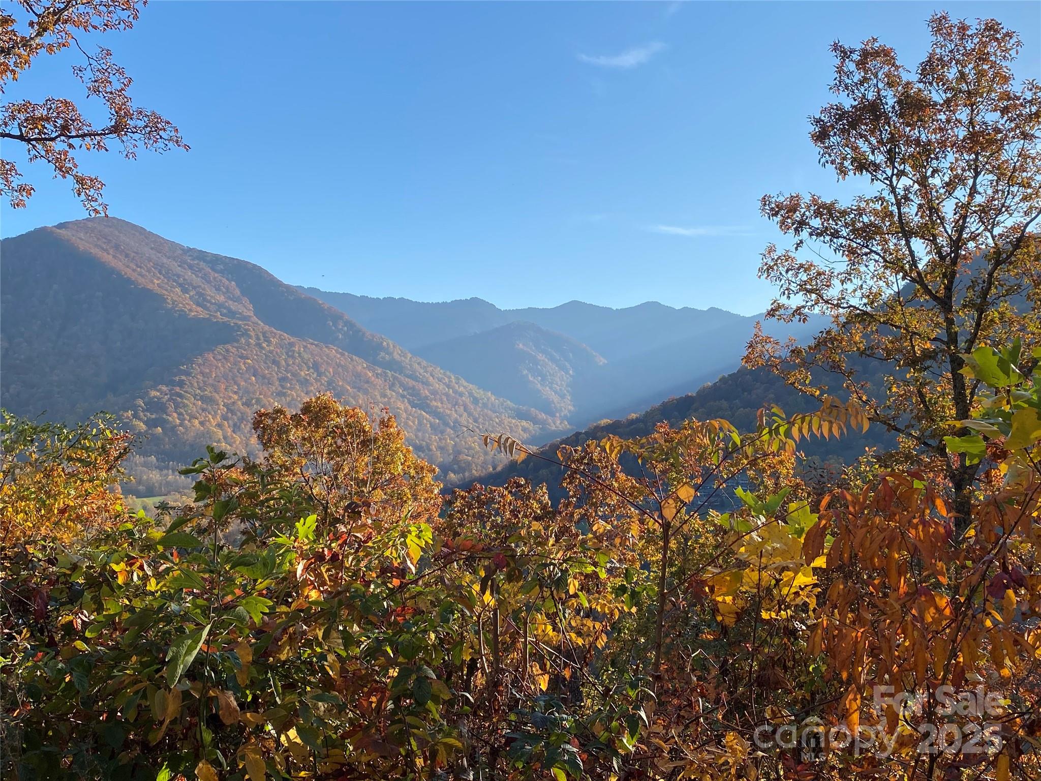 40 Cougar Lane Maggie Valley NC 28751