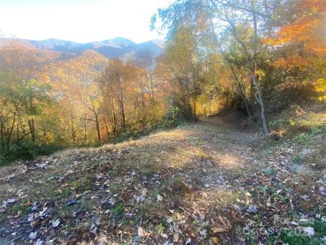 40 Cougar Lane Maggie Valley NC 28751