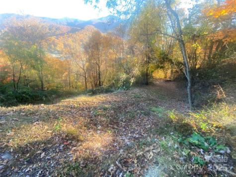 40 Cougar Lane Maggie Valley NC 28751