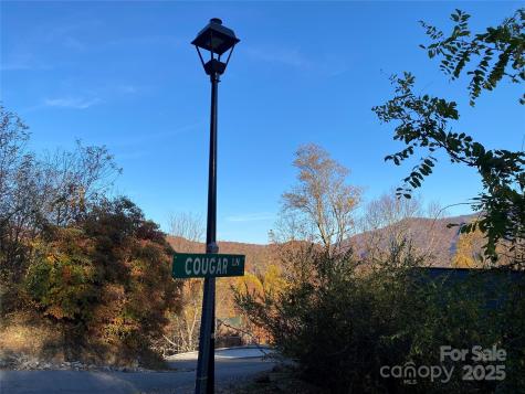 40 Cougar Lane Maggie Valley NC 28751