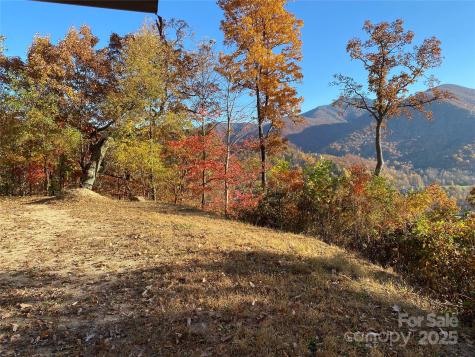 40 Cougar Lane Maggie Valley NC 28751