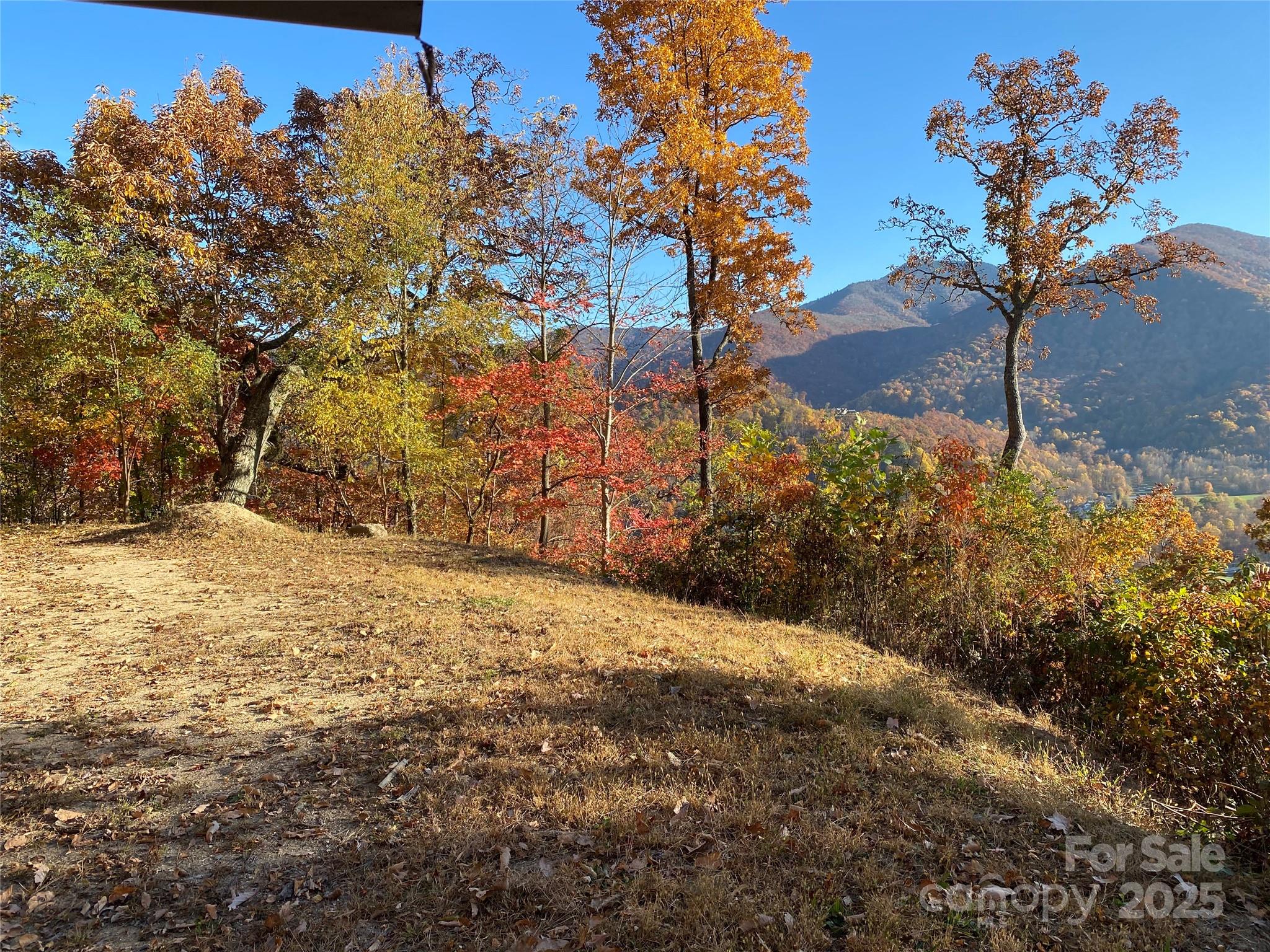 40 Cougar Lane Maggie Valley NC 28751