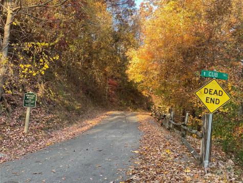 40 Cougar Lane Maggie Valley NC 28751
