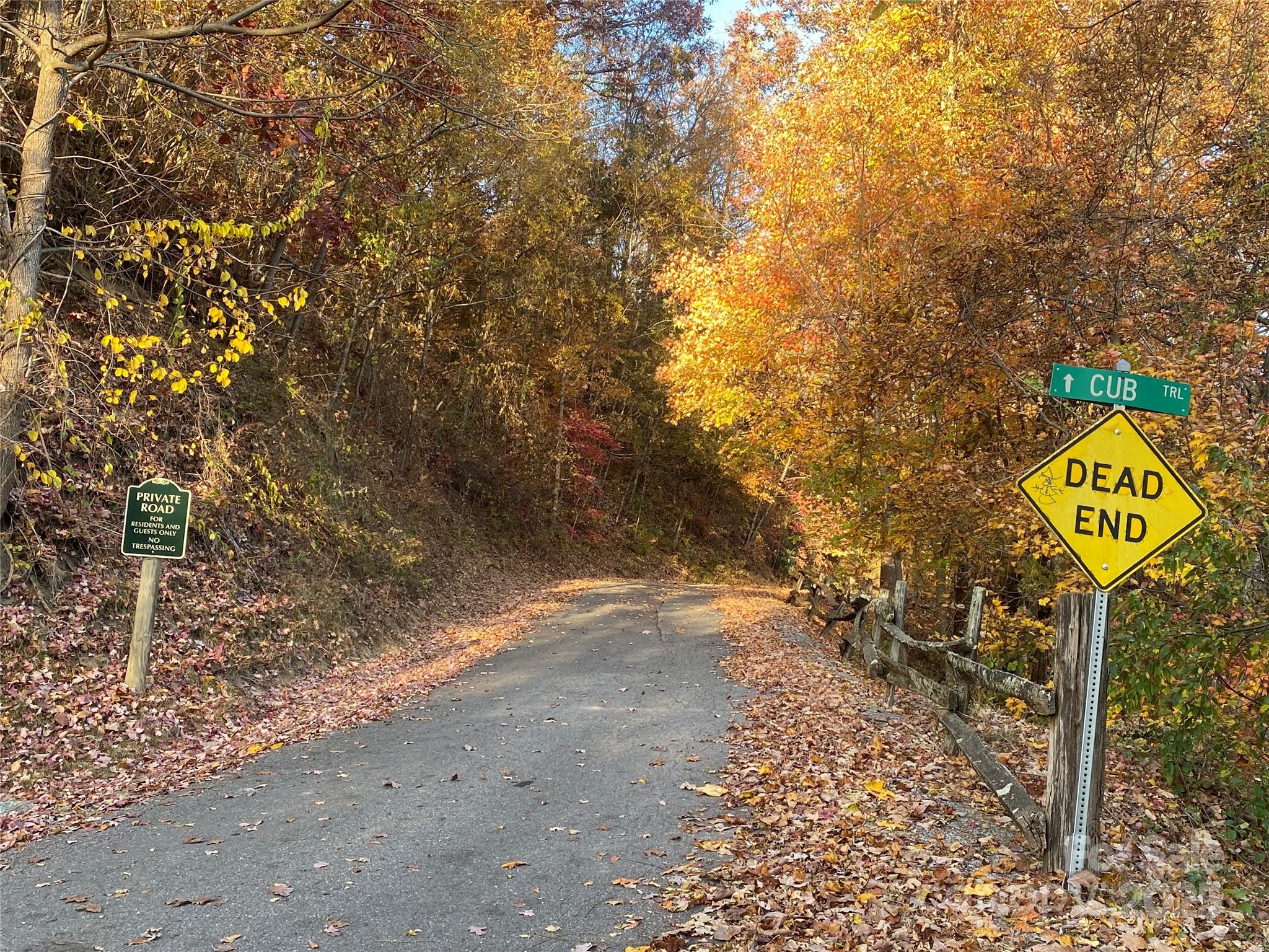 40 Cougar Lane Maggie Valley NC 28751