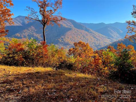 40 Cougar Lane Maggie Valley NC 28751