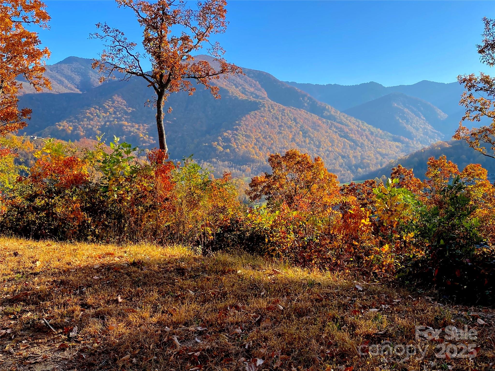 40 Cougar Lane Maggie Valley NC 28751