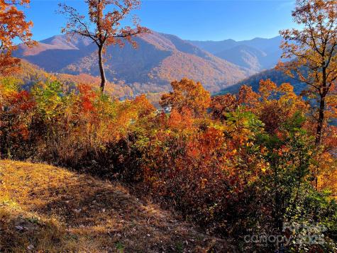 40 Cougar Lane Maggie Valley NC 28751