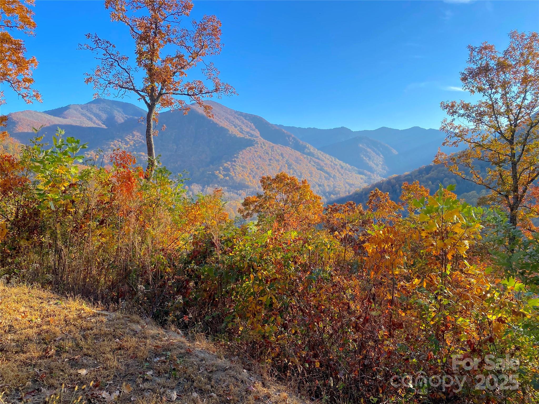 40 Cougar Lane Maggie Valley NC 28751