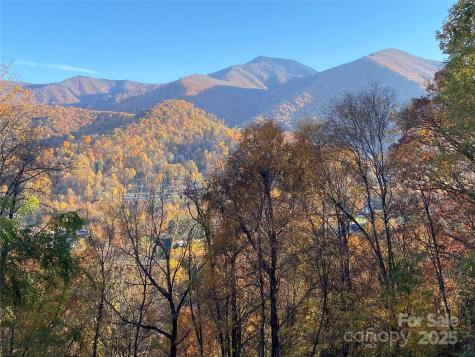 40 Cougar Lane Maggie Valley NC 28751
