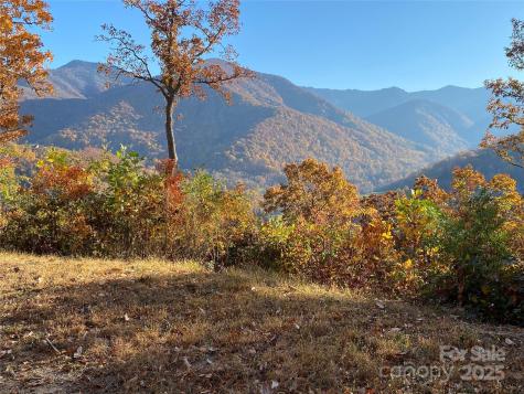 40 Cougar Lane Maggie Valley NC 28751