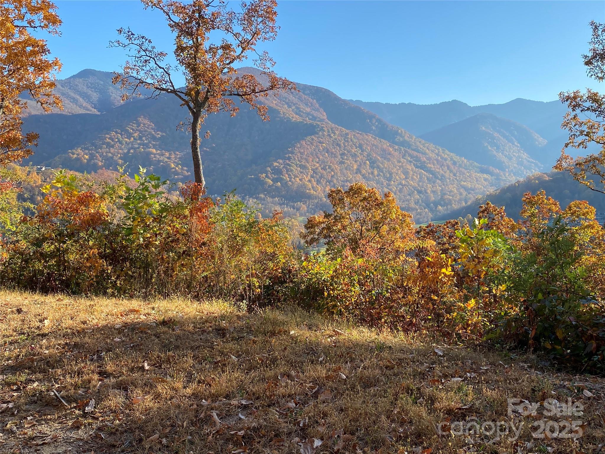 40 Cougar Lane Maggie Valley NC 28751