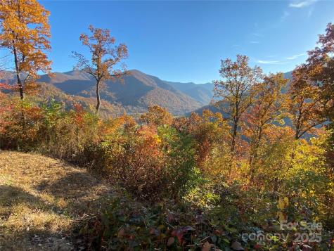 40 Cougar Lane Maggie Valley NC 28751