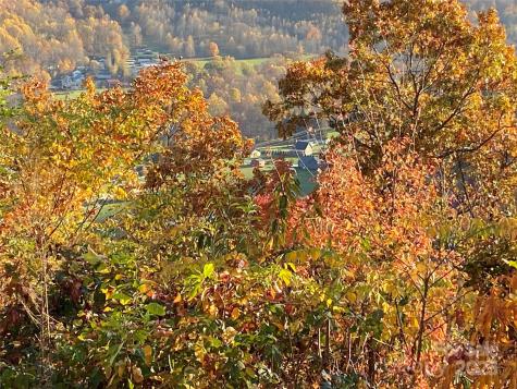40 Cougar Lane Maggie Valley NC 28751