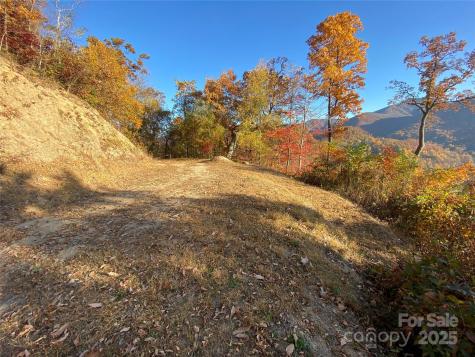 40 Cougar Lane Maggie Valley NC 28751