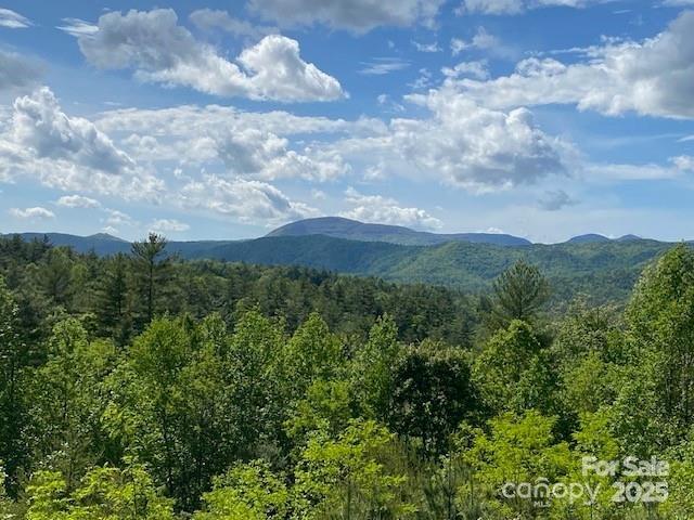 241(LOT 58) Peppervine Circle Rosman NC 28772